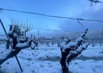 Sull’Isola arriva il freddo dalle zone polari, con pioggia e neve dopo l’Epifania