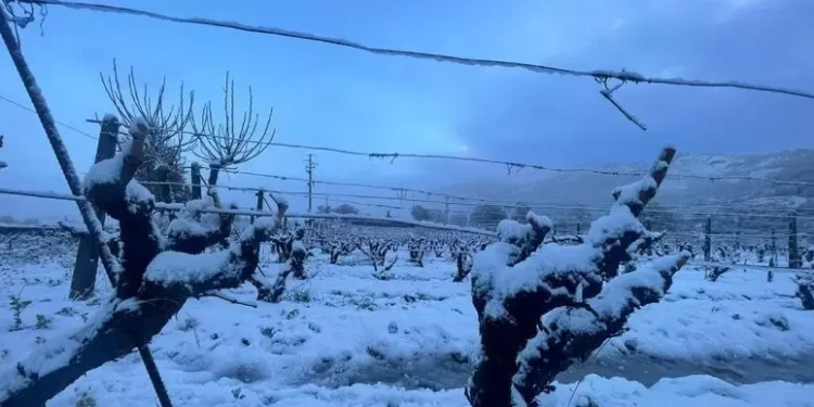 Sull’Isola arriva il freddo dalle zone polari, con pioggia e neve dopo l’Epifania