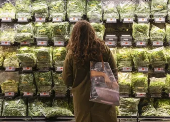 L’inflazione accelera, prezzi +1,5% nel 2025. Il carrello della spesa più caro del 24% dal 2021