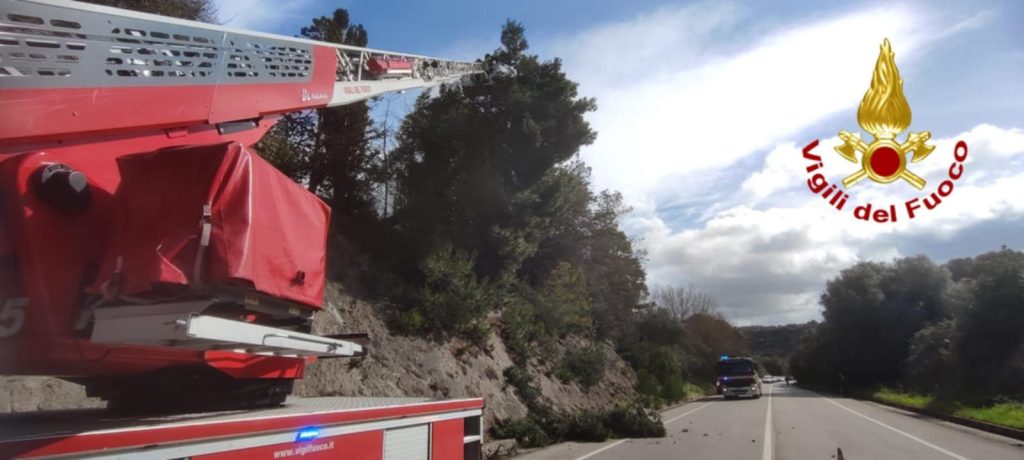 Maltempo nel Sassarese, albero rischia di crollare sulla Sassari – Ittiri: intervento dei Vigili del Fuoco