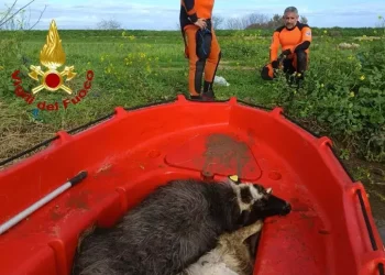Ciclone mediterraneo, in tutta la Sardegna oltre mille interventi dei Vigili del fuoco