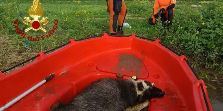 Ciclone mediterraneo, in tutta la Sardegna oltre mille interventi dei Vigili del fuoco