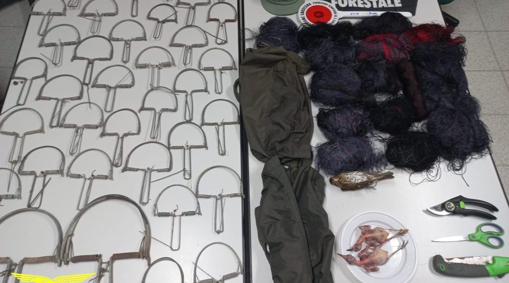 Sorpreso a piazzare trappole per volatili, nei guai un pensionato