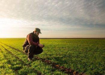 Agricoltura: 75 milioni per investimenti produttivi, domande a partire dal 31 marzo