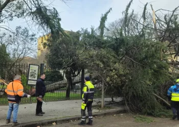 Maltempo, tre giovani feriti per caduta di alberi nel Sassarese