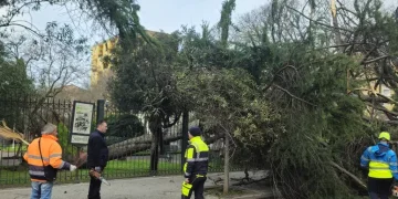 Maltempo, tre giovani feriti per caduta di alberi nel Sassarese