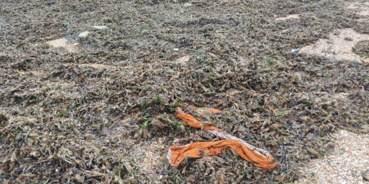 Ciclone Harry, incontro tra Regione e sindaci