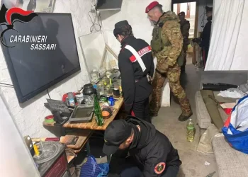Un arsenale di armi, esplosivo e cocaina, un arresto nel Sassarese