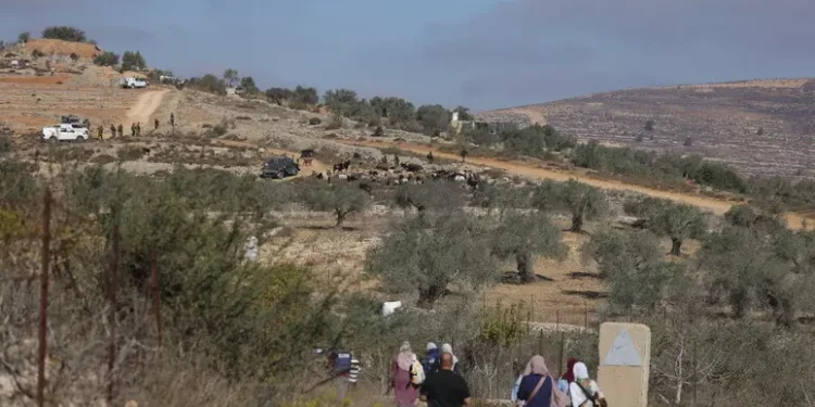 Anp, palestinese ucciso da coloni israeliani nella Cisgiordania Occupata