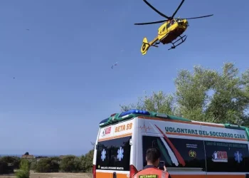 Travolto da un albero che stava tagliando, operaio grave a Arzachena