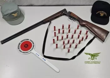 Sorpreso a cacciare di frodo a Sinnai, bracconiere bloccato dal Corpo Forestale