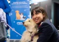 Ita Airways accoglie in cabina gli animali domestici di grossa taglia