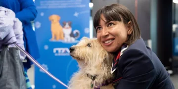 Ita Airways accoglie in cabina gli animali domestici di grossa taglia