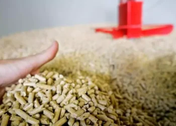 Pellet introvabile e rincari prezzi, esposto di Adiconsum a Procure e Antitrust