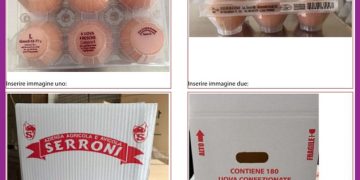 Richiamate uova per possibile presenza di Salmonella