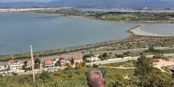 Parco di Molentargius, al via la nidificazione dei fenicotteri