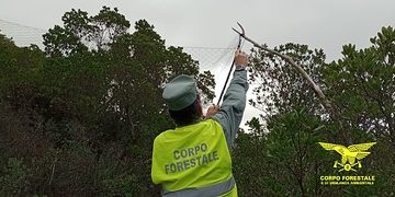 Reti e micidiali trappole: una persona segnalata per bracconaggio nel Sulcis