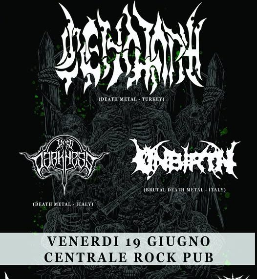 I turchi Cenotaph in concerto a Erba a giugno