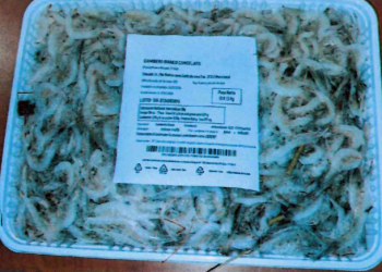 Solfiti oltre i limiti: richiamati due lotti di gamberi bianchi congelati