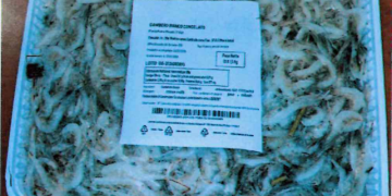 Solfiti oltre i limiti: richiamati due lotti di gamberi bianchi congelati