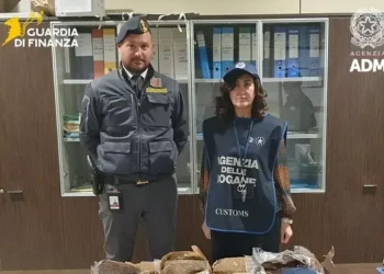 In valigia 160mila euro in contanti ma ne dichiara poco più di mille