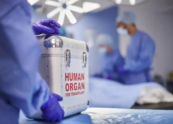 Nel 2025 oltre 2.100 donazioni e 4.697 trapianti, ‘il miglior anno di sempre’