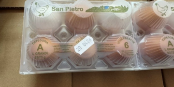 Allerta: Richiamate uova per rischio Salmonella