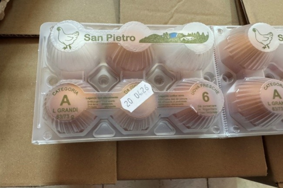 Allerta: Richiamate uova per rischio Salmonella