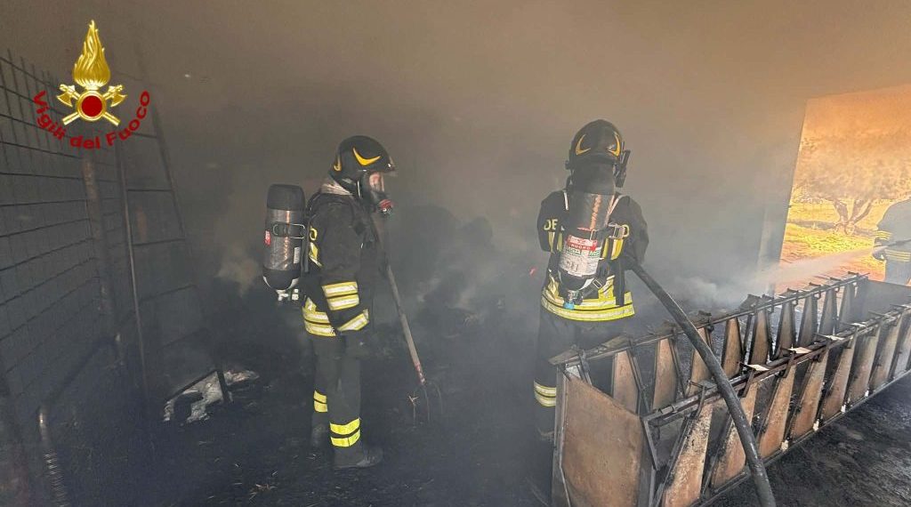 In fiamme stalla a Orgosolo: morte bruciate 25 pecore