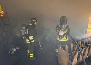 In fiamme stalla a Orgosolo: morte bruciate 25 pecore