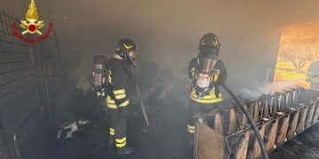 In fiamme stalla a Orgosolo: morte bruciate 25 pecore