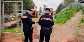 Sequestrata un’autodemolizione abusiva a Sardara, una denuncia