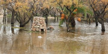 Ciclone Harry, danni in agricoltura: prorogata al 28 marzo la scadenza per le segnalazioni tramite app Agea