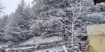 L’inverno a primavera sul Gennargentu, -2 gradi e nevicate