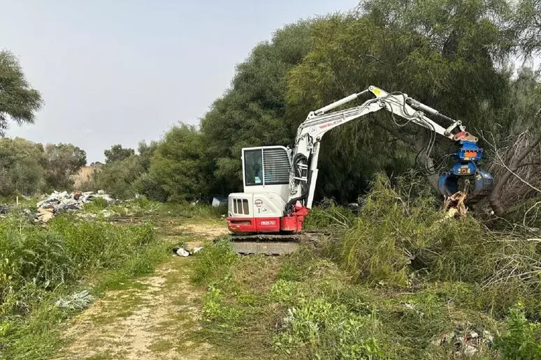Autorità portuale e Comune di Cagliari insieme per ripulire Santa Gilla