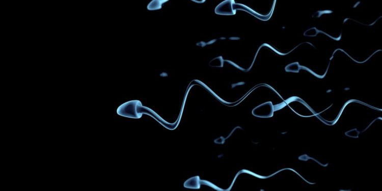 La masturbazione migliora la qualità dello sperma, dicono gli esperti di Oxford