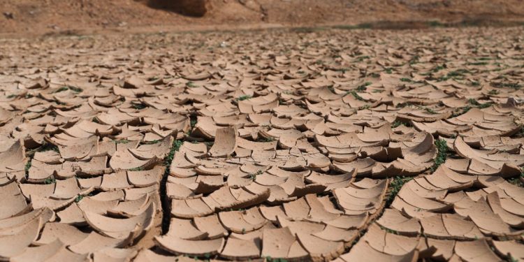 Ambiente: Cambiamenti climatici, la Regione unifica la governance per l’adattamento, sette assessori coinvolti per dare vita ad una strategia pienamente operativa