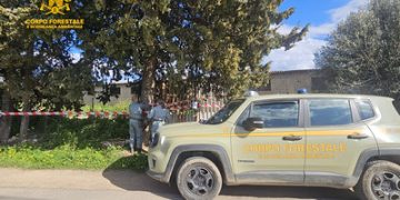 Bruciavano eternit e rifiuti pericolosi, denunciate due persone a Maracalagonis