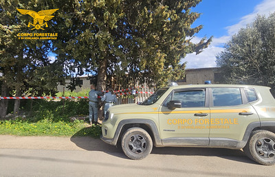 Bruciavano eternit e rifiuti pericolosi, denunciate due persone a Maracalagonis