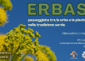 Passeggiata tra le erbe e la piante nella tradizione sarda, l’evento a Villanovaforru il primo maggio
