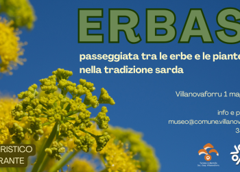 Passeggiata tra le erbe e la piante nella tradizione sarda, l’evento a Villanovaforru il primo maggio