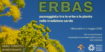 Passeggiata tra le erbe e la piante nella tradizione sarda, l’evento a Villanovaforru il primo maggio