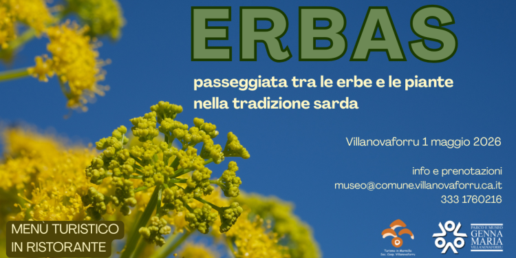 Passeggiata tra le erbe e la piante nella tradizione sarda, l’evento a Villanovaforru il primo maggio