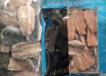 Ministero della Salute richiama le sardine