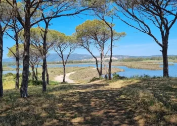 Foreste aperte nel Parco di Tepilora, al via l’11 a Lodè