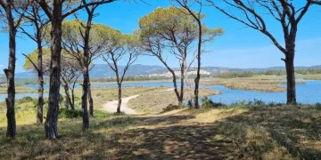 Foreste aperte nel Parco di Tepilora, al via l’11 a Lodè