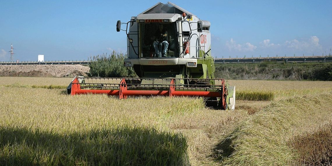 Agricoltura, aperto il bando SRD01 per gli investimenti nelle aziende