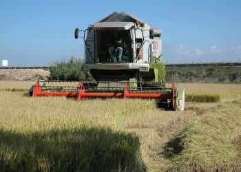 Agricoltura, aperto il bando SRD01 per gli investimenti nelle aziende