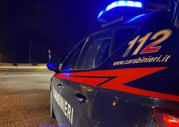 San Teodoro, aveva una serra di marijuana in casa: un arresto