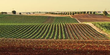 Agricoltura, 400 mila euro per le comunità di tutela della biodiversità e del cibo